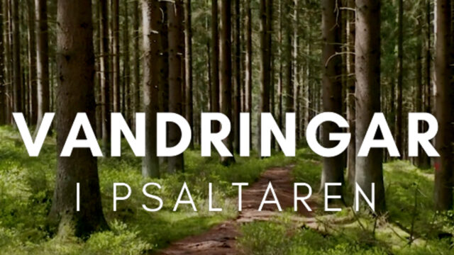 Pilgrimsvandra i Höga kusten